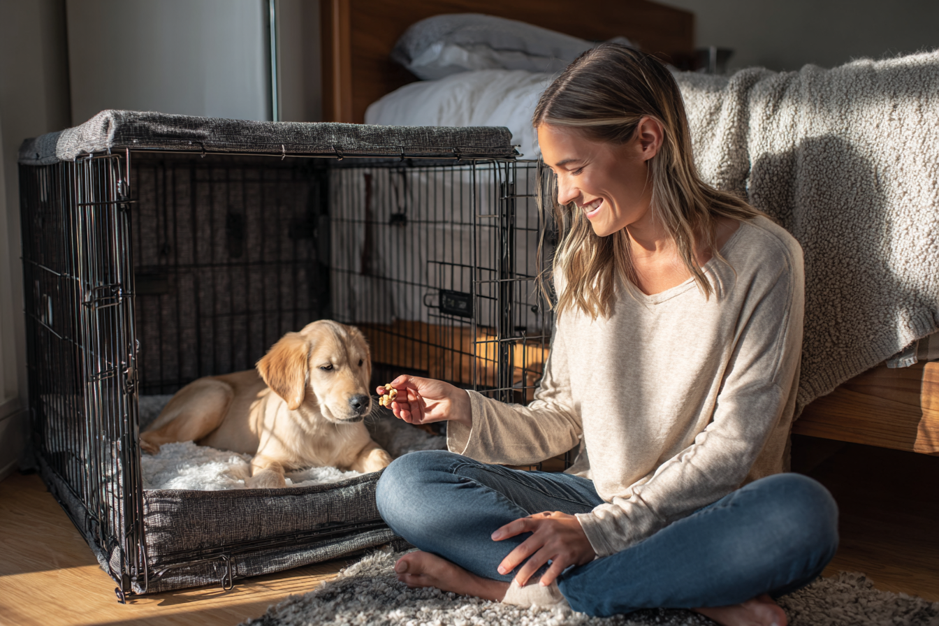 A person sitting on the floor next to a crate, smiling and gently feeding small treats through the wires to a calm puppy who is lying down inside on a soft bed