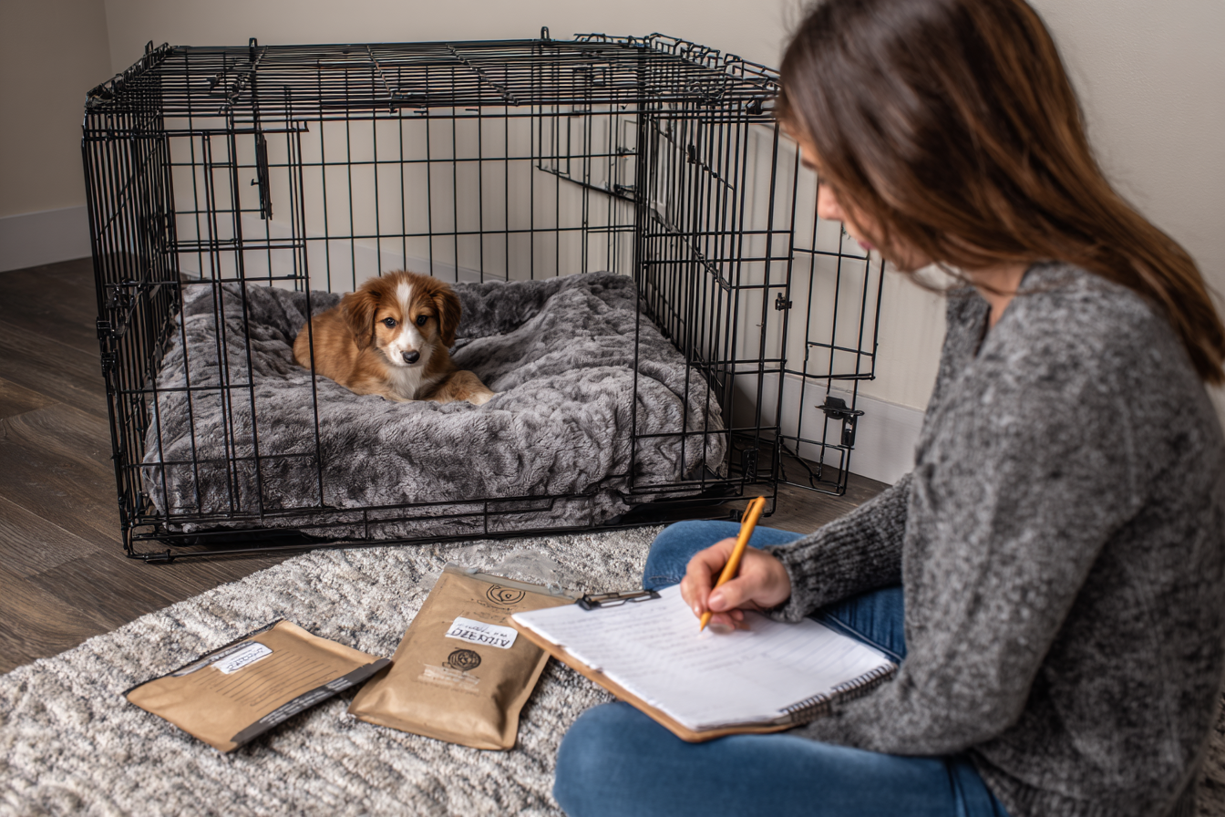 A person troubleshooting a common issue