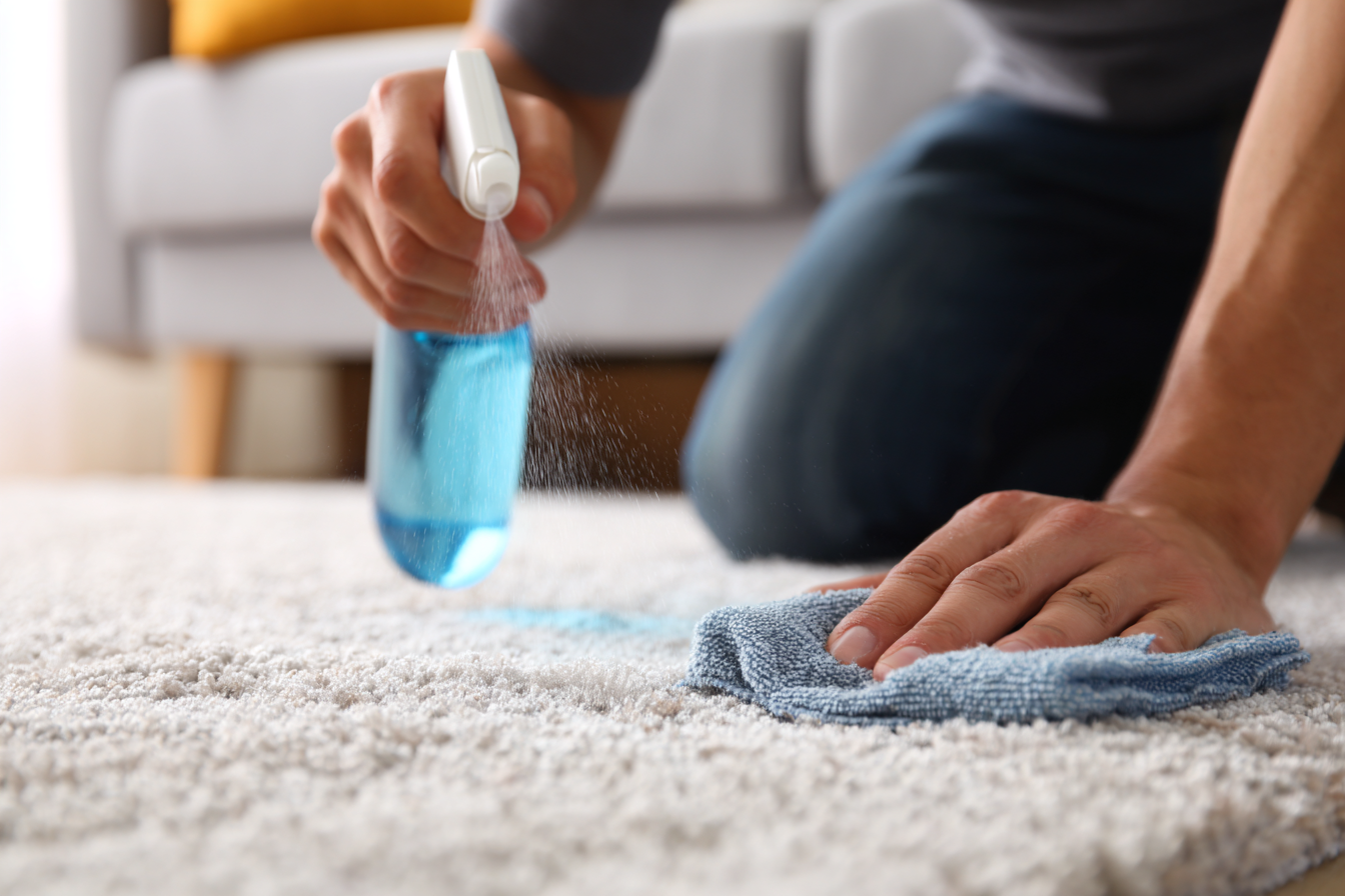 A close-up shot of a person's hand giving a small, juicy piece of boiled chicken to a happy-looking Beagle puppy who is standing directly on a used potty pad. The person's other hand is gently petting the puppy's head, capturing a moment of immediate positive reinforcement.